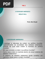 A Sociedade Anárquica Hedley Bull
