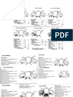 Clasisficacion de Endometriosis