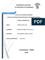 INFORME ronald.docx