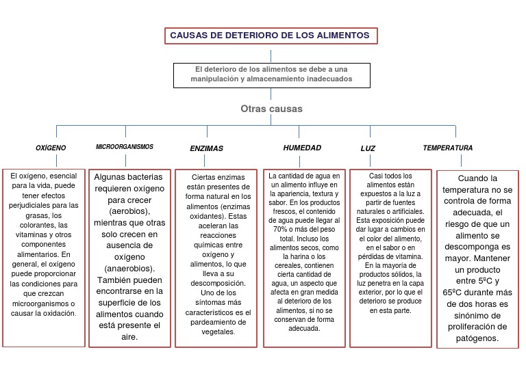 Causas del Deterioro de Alimentos | PDF | Oxígeno | Alimentos