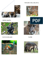 animales en extincion y arboles.docx