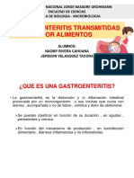 Gastroenteritis Por Listeria, Campylobacter y Enterobacterias