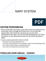 12._Sistem_Urinary_.pdf