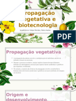 Propagação Vegetativa.pptx 1