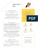 curriculum-vitae.pdf