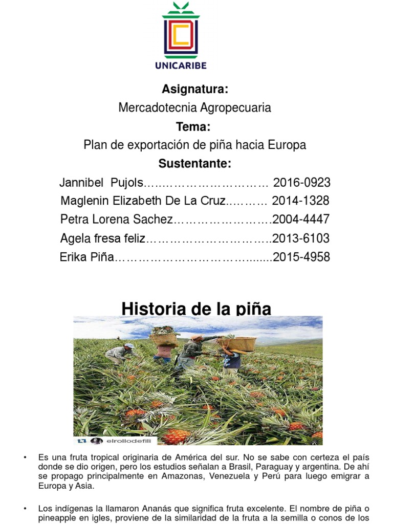 Exportación de Piña a Europa: Claves y Normas | PDF | Unión Europea ...
