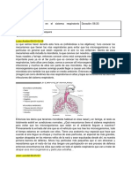 01-Microbiología en El Sistema Respiratorio (Bacterias y Hongos)