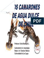 Los Camarones de Chile