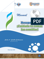Manual   Recapa-CITA.pdf