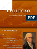 45_evolucao