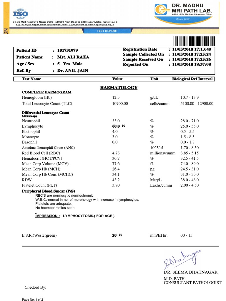 Complete Hemogram Report for Child | PDF | Blood | Tissue (Biology)