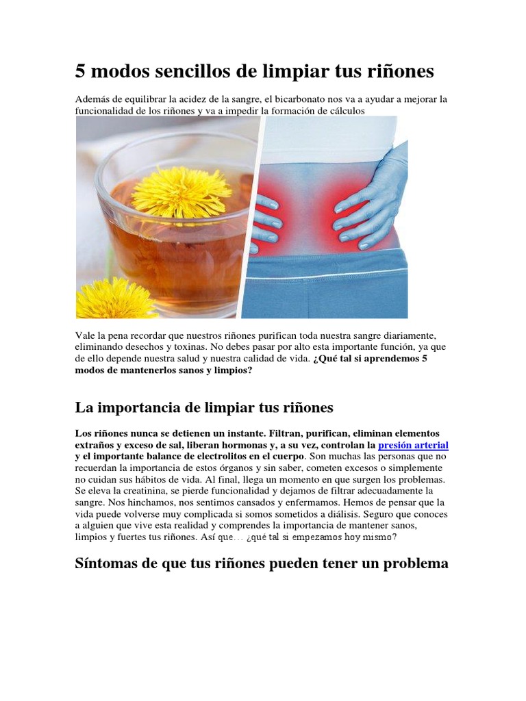 5 Modos Sencillos de Limpiar Tus Riñones | PDF | Riñón | Ph