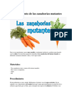 El Experimento de Las Zanahorias Mutantes