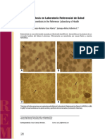 Galería: Bartonelosis en Laboratorio Referencial de Salud