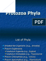 Protozoa 2