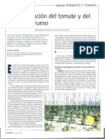 Fertirrigacion Del Tomate PDF