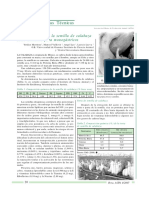 Potencialidades Semillas PDF