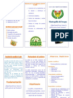 triptico-palta-121113185157-phpapp02.pdf