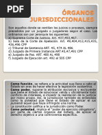 Órganos Jurisdiccionales y Actividad Procesal Defectuosa