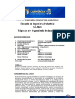 4. SILABO Topicos en Ingenieria Industrial 2019-I