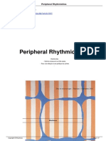 Peripheral Rhythmicities A1843