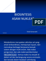 Biosintseis asam nukleat