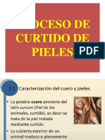 Curticion de Pieles