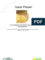 Cheese Please Notes PDF