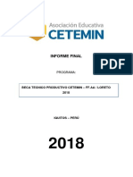 Informe Final Cetemin - Loreto 2018