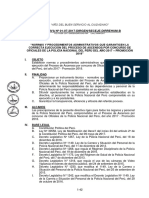 DIRECTIVA.pdf