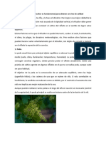 La Mano Del Viticultor Es Fundamental para Obtener Un Vino de Calidad