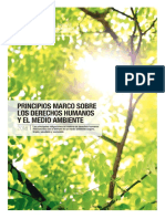 Principios de los derechos humanos y el medio ambiente.PDF