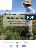 Derechos humanos y medio ambiente 2017