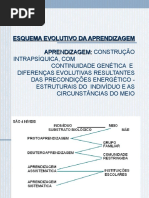 ESQUEMA EVOLUTIVO DA APRENDIZAGEM.ppt
