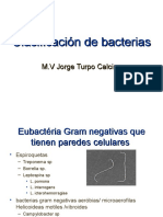 Clasificación de Bacterias