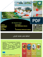 Buenas Practicas Agricolas en Esparrago PDF