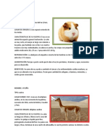 238364584-Animales-Nativos-y-Del-Peru.docx
