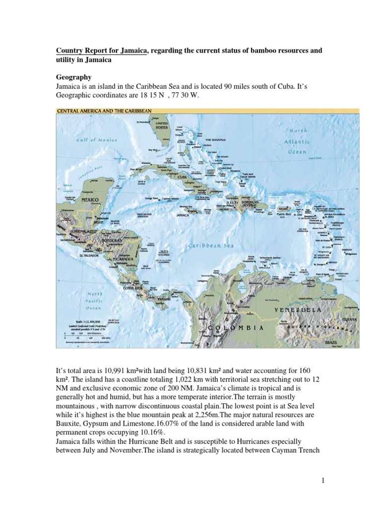 Bamboo Resources in Jamaica | PDF | Jamaica | Forests