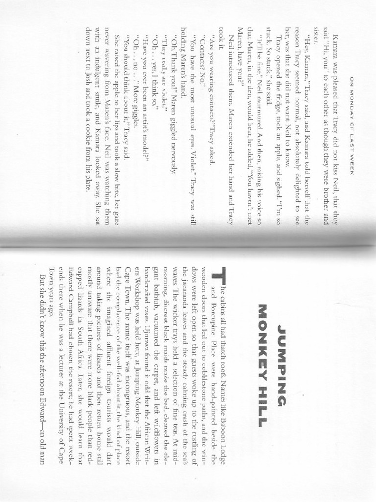 Adichie, Chimamanda Jumping Monkey Hill PDF