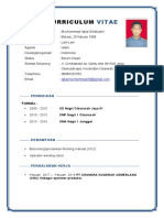 CV Ibang PDF