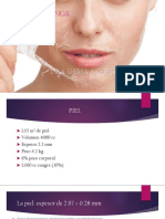 Piel y peelings: estructura, funciones y tipos de exfoliación