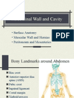 Abdominal Wall and Cavity: Surface Anatomy Muscular Wall and Hernias Peritoneum and Mesenteries