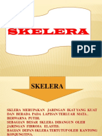 SKLERA