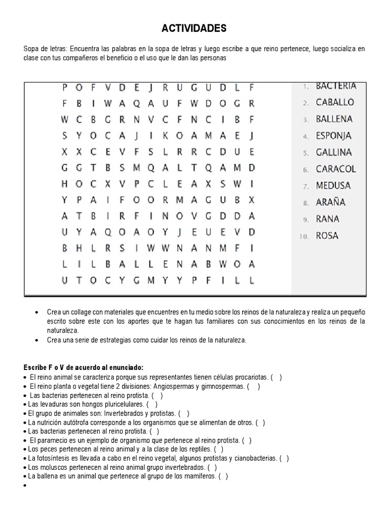 Actividades Cta | PDF | Plantas | Organismos