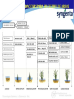 RECOMENDACIONES PARA SU CULTIVO DE ARROZ  MODIFICADO.doc