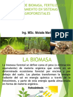 Biomasa