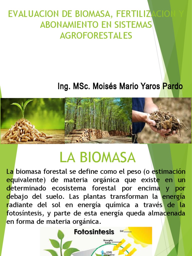 Biomasa | PDF | Biomasa | Plantas