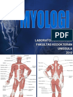 MYOLOGI