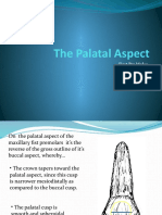 The Palatal Aspect - 14