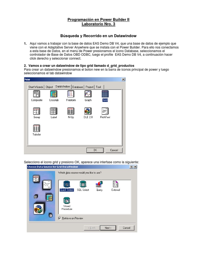 Powerbuilder 3 | PDF | Bases de datos | Software de gestión de datos